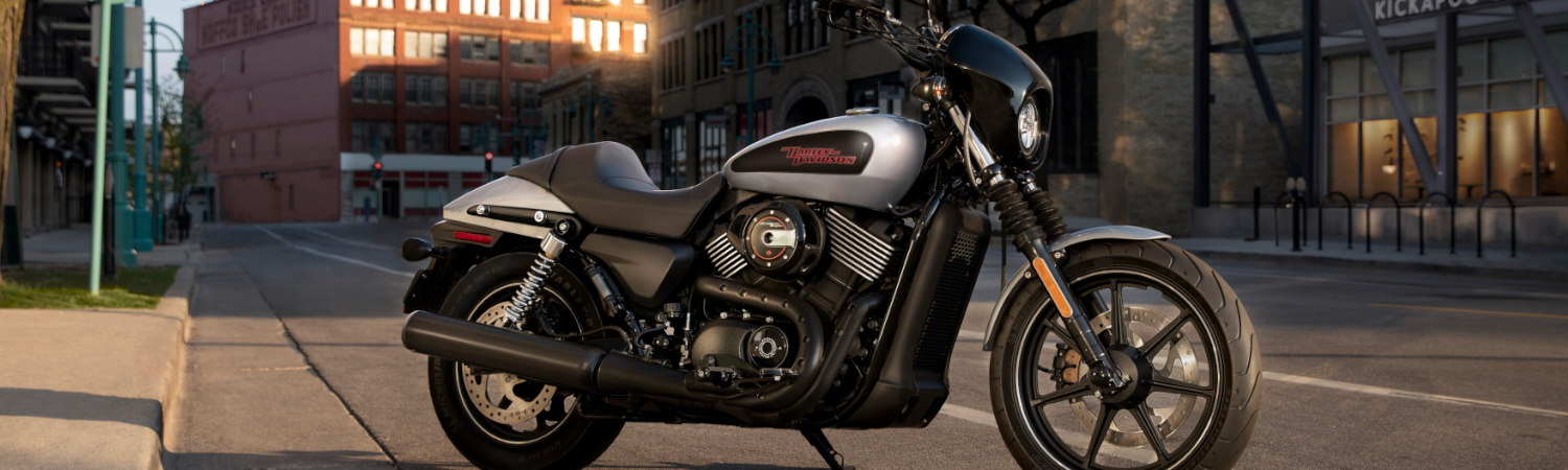 2022 Harley-Davidson® for sale in Adamec Harley-Davidson® of Orange Park, Orange Park, Florida